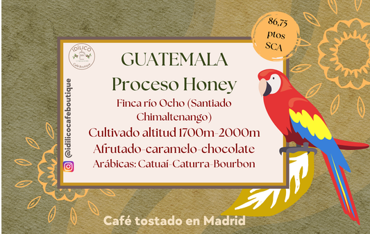 Café de Guatemala 250Grs. Finca Río Ocho en Santiago de Chimaltenango